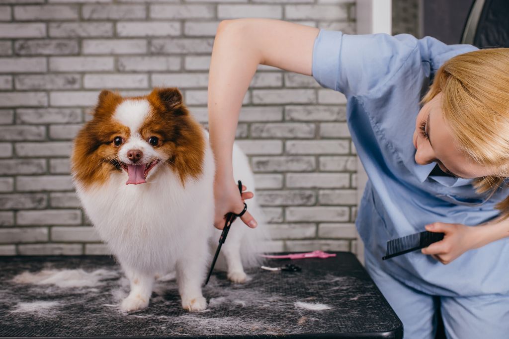 veterinaria que patas tres rios